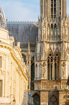 REIMS